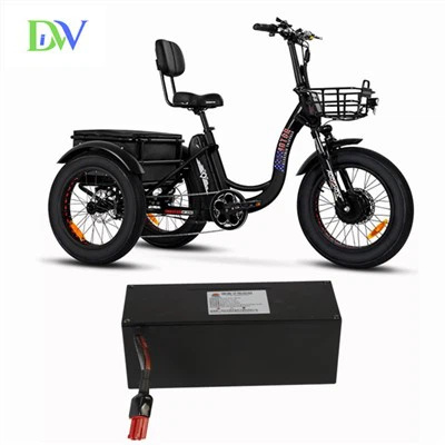 Electric Trike Lithium roj teeb